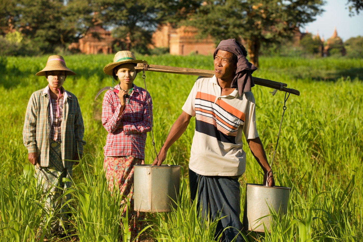 Myanmar peasants