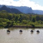 Elephant village by Nam Khan river