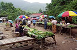 Cruise on the Mekong in depth (10 days - 9 night)