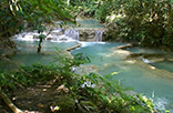 Far East Discovery 22 days