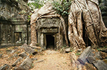 Far East Discovery 22 days