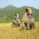 The Elephant Journey 11D10N