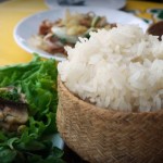 The sticky rice, eaten with Laap, is rolled into small ball, dipped and eaten with your fingers