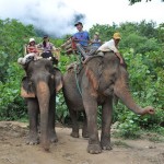 Riding elephants is a wonderful experience in the heart of Southern Laos