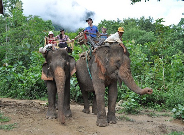 Riding elephants is a wonderful experience in the heart of Southern Laos