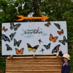 Kuang Si Falls Butterfly Park