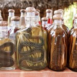 Lao whisky is made with all kinds of creepy crawlies