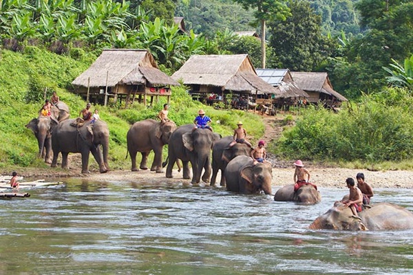 Elephant village in Luang Prabang, Laos