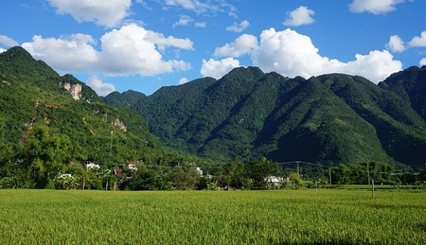 Watching rice terrace fields from Vietnam while traveling to Laos