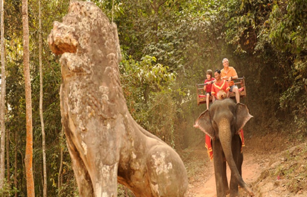 Elephant trekking