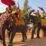 Elephant Festival