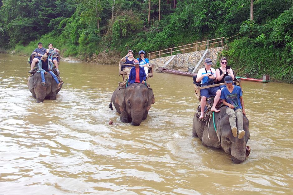 Elephants play an important role in Laos’ tourism
