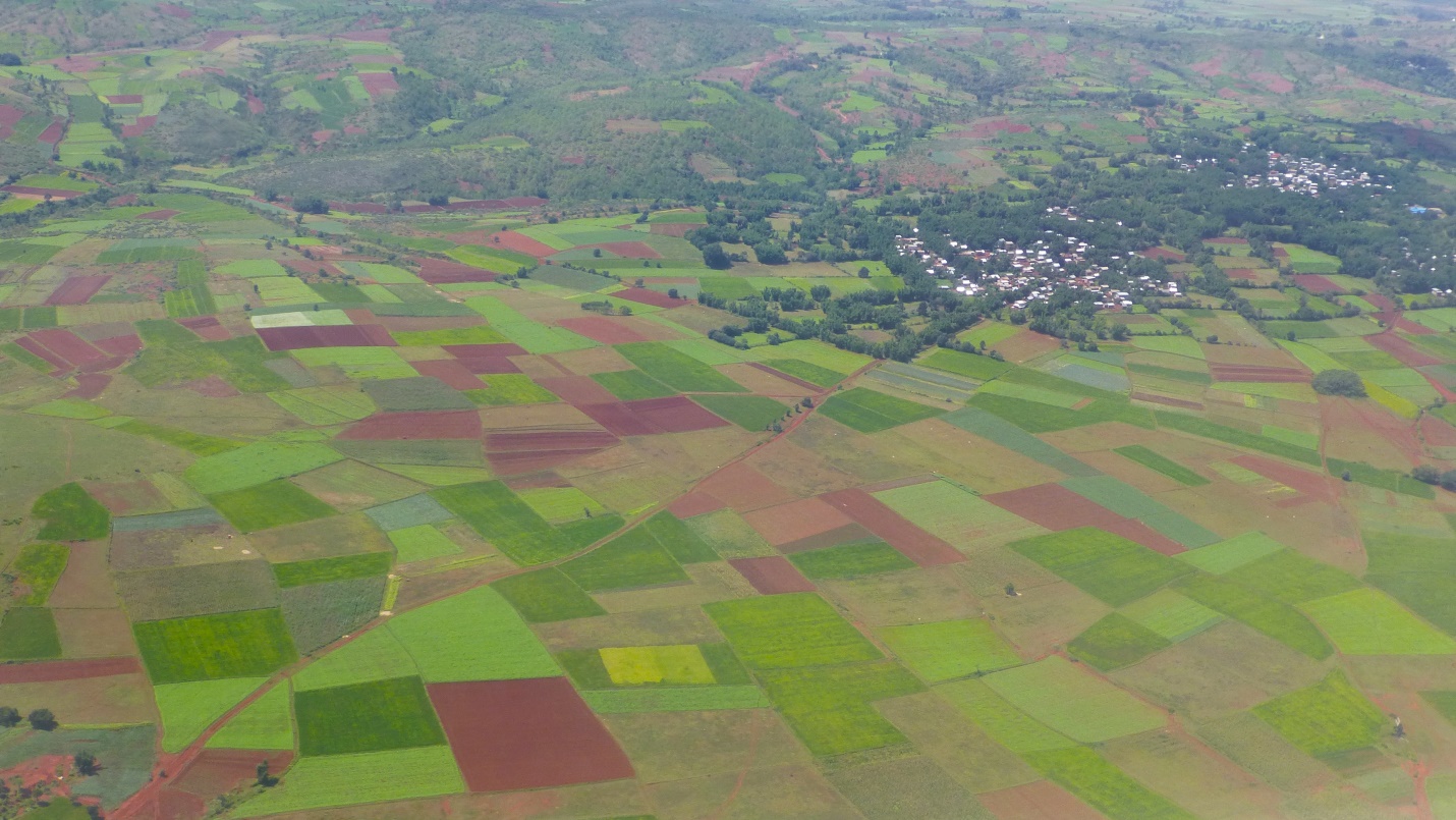 Farms near Heho