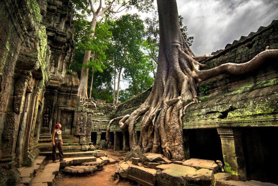 Ta Prohm is covered by a giant tree; it makes Ta Prohm more mysterys