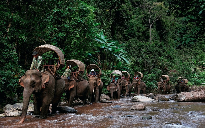Why do they call Laos the country of elephants