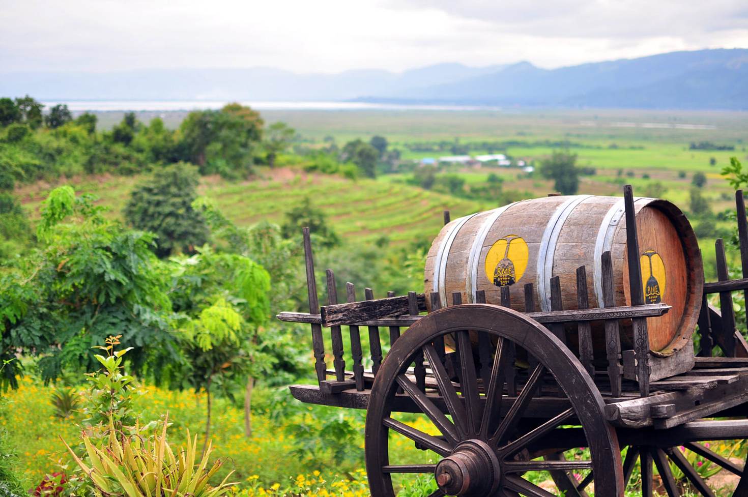 A barrel of Red Mountain Estate Vineyards & Winery in Inle Lake