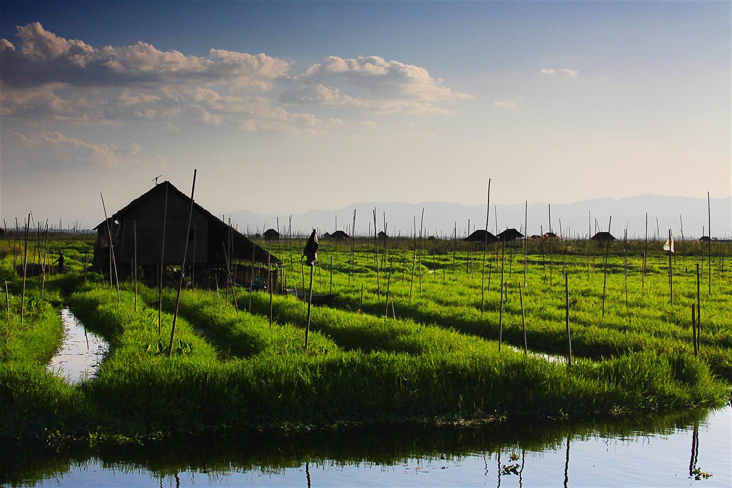 Floating Garden of locals in Inle lake
