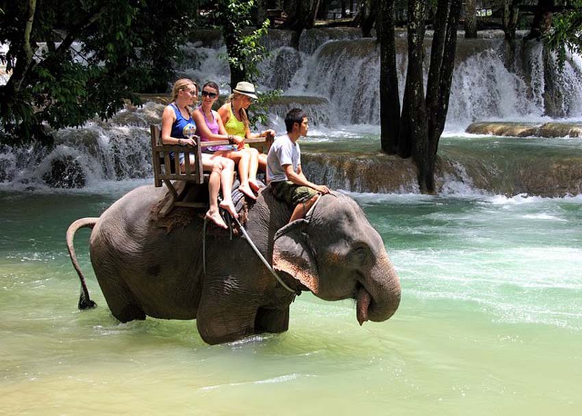 Elephant riding in Tad Sae waterfall