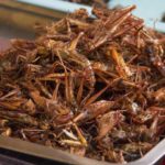 Locusts can be found all across Southeast Asia