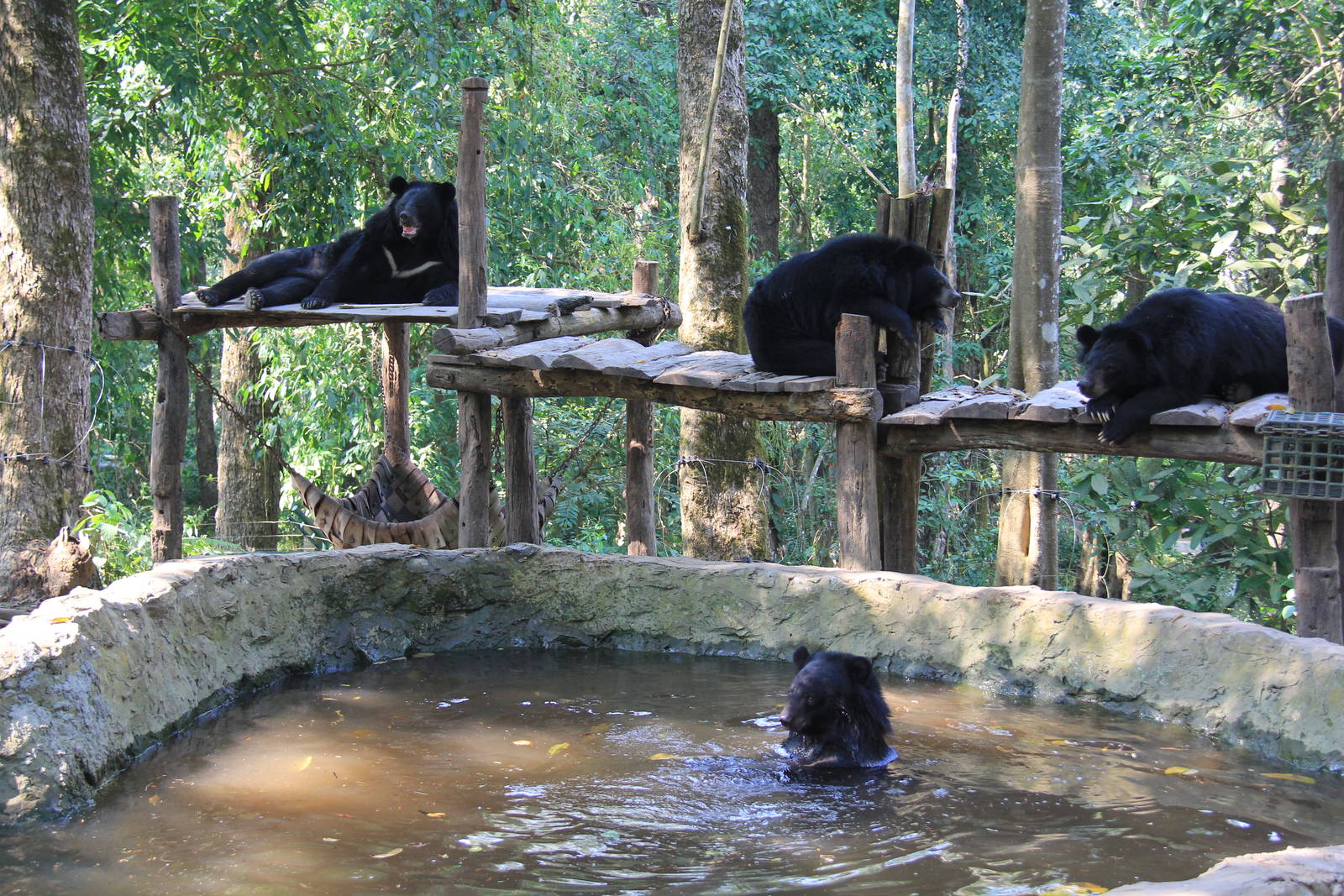 Kuang Si Bear Sanctuary