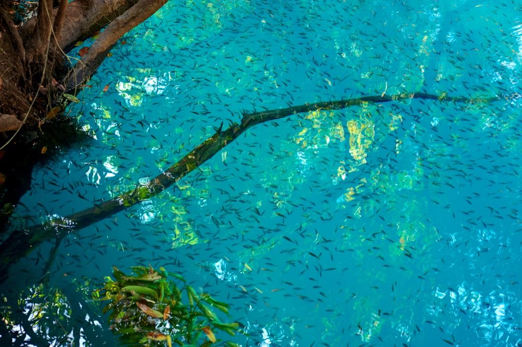 The beautiful blue water, overlooking the fish swimming in Khoun Kong Leng Lake in Laos
